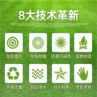 仿真草坪 源头厂家图3