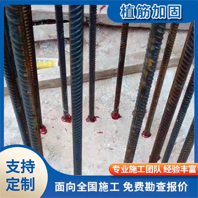 植筋加固图4