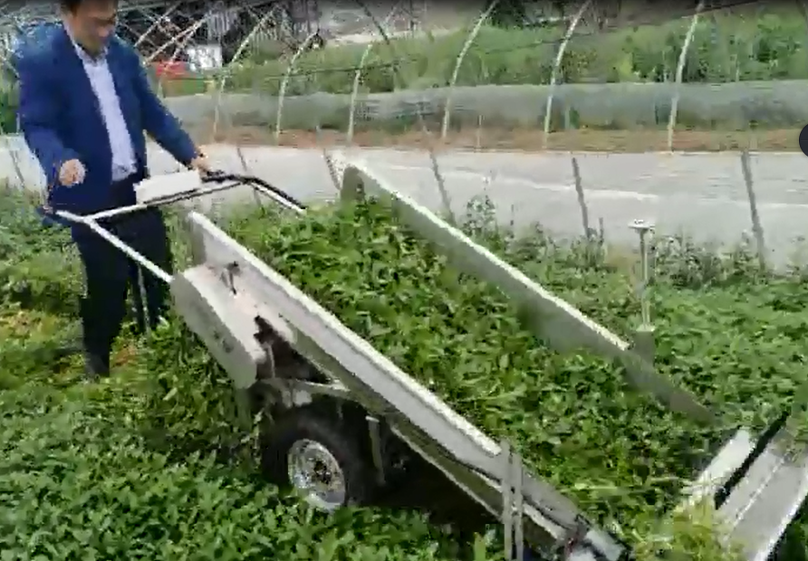 叶菜收获机蔬菜收割机菠菜绿叶菜收割收货机械图5
